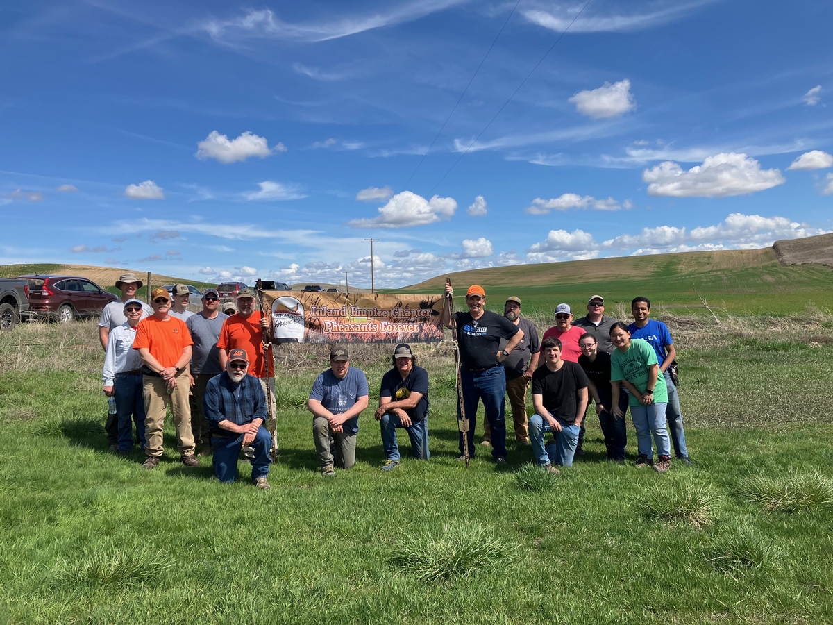 About The Chapter About The Chapter